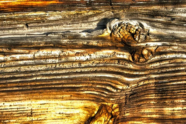 Wood texture old hdr — Stock fotografie