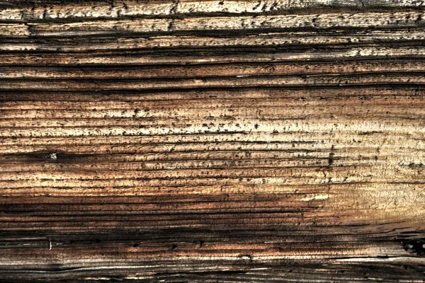 Wood texture old hdr — Stock Photo, Image