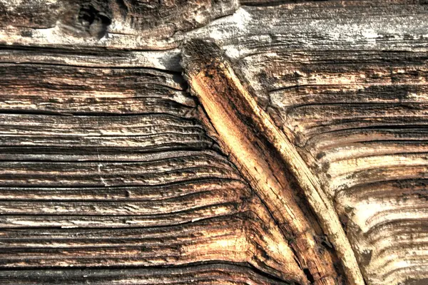 Wood texture old hdr — Stok fotoğraf