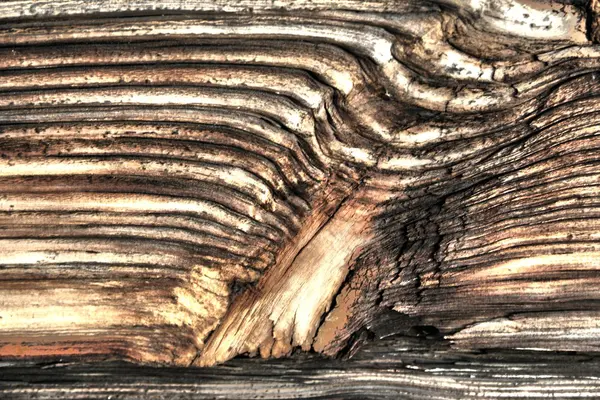 Wood texture old hdr — Stock Photo, Image