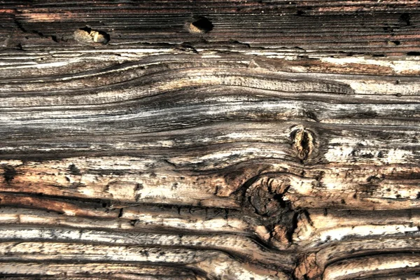 Textura de madera vieja hdr — Foto de Stock