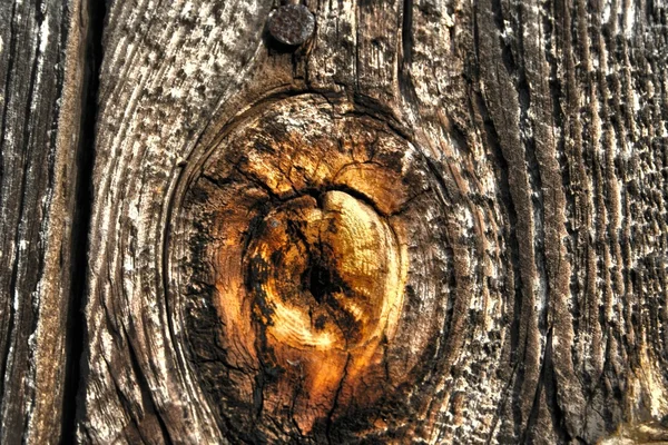 Textura de madera vieja hdr — Foto de Stock