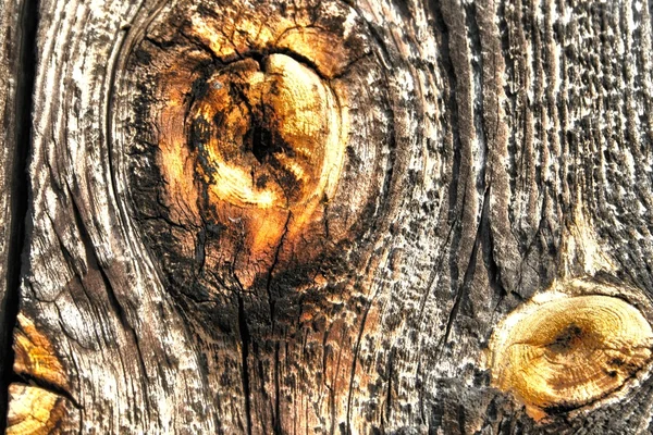 Wood texture old hdr — Stock fotografie