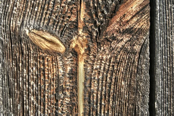 Textura de madera vieja hdr — Foto de Stock