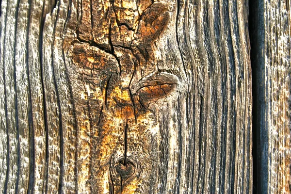 Textura de madera vieja hdr — Foto de Stock