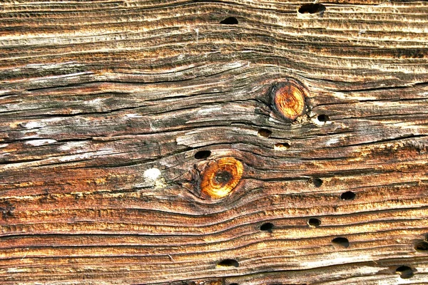 Textura de madeira velho hdr — Fotografia de Stock