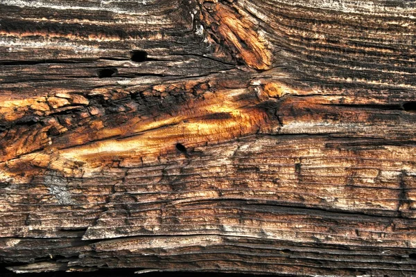 Textura de madera vieja hdr — Foto de Stock