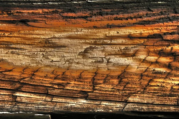 Holz Textur alt hdr — Stockfoto
