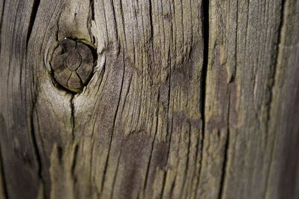 Staré dřevo textury — Stock fotografie