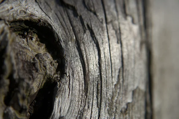 古い木材のテクスチャ — ストック写真