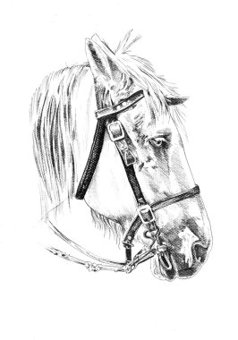 serbest el at baş karakalem