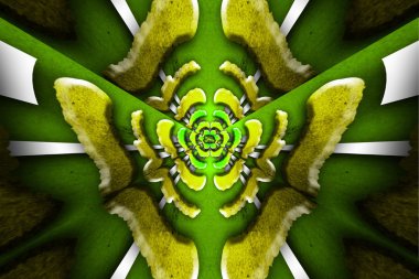 Bir yıldız soyutlama hakketmek