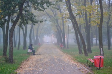 Timisoara, Romanya - 25 Ekim 2012: Sisli bir sabah bir parkta bir bankta dinlenen kadın. Gerçek insanlar..
