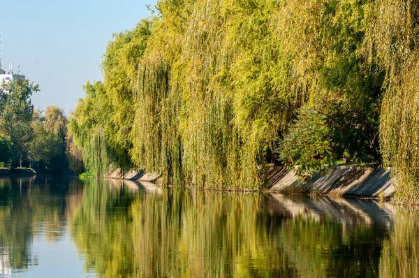Blick Auf Den Fluss Bega Frühen Morgen Mit Klarem Blauen — Stockfoto