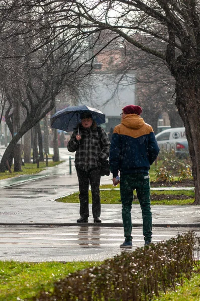 Timisoara Rumania Enero 2014 Hombre Con Umbralla Caminando Por Calle — Foto de Stock