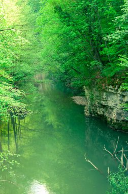 Bigar nehrinin manzarası, Anina dağlarında doğal rezerv.