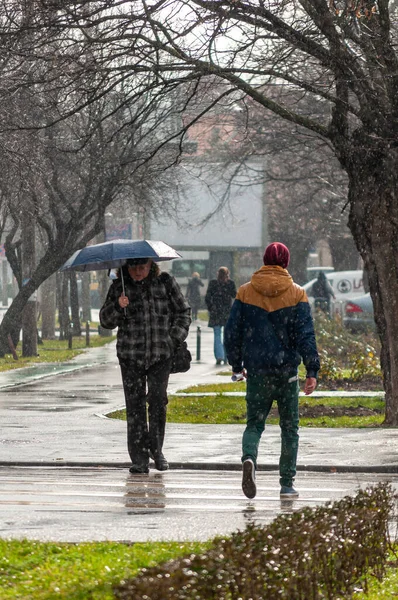 Timisoara Rumania Enero 2014 Hombre Con Umbralla Caminando Por Calle — Foto de Stock