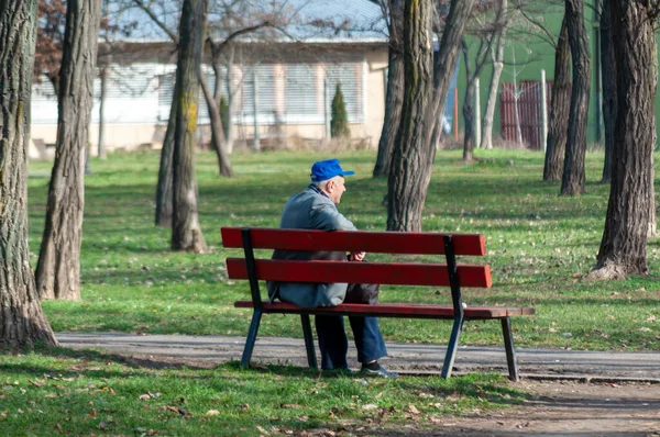 Timisoara Rumania Enero 2014 Hombre Sentado Banco Parque Gente Real — Foto de Stock