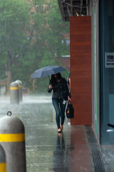 Timisoara Romanya Mayıs 2016 Şemsiyeli Bir Kadın Yağmurda Yürüyor Gerçek — Stok fotoğraf