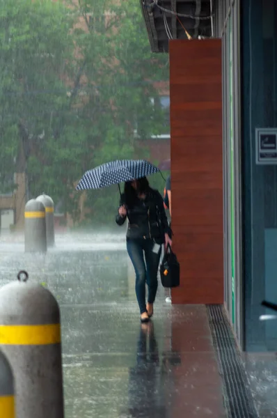 Timisoara Romênia Maio 2016 Mulher Com Umbralla Andando Chuva Pessoas — Fotografia de Stock