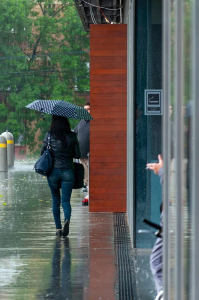 Timisoara Romênia Maio 2016 Mulher Com Umbralla Andando Chuva Pessoas — Fotografia de Stock