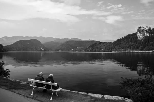 Swans, and all that is around Lake Bled — Stock Photo, Image