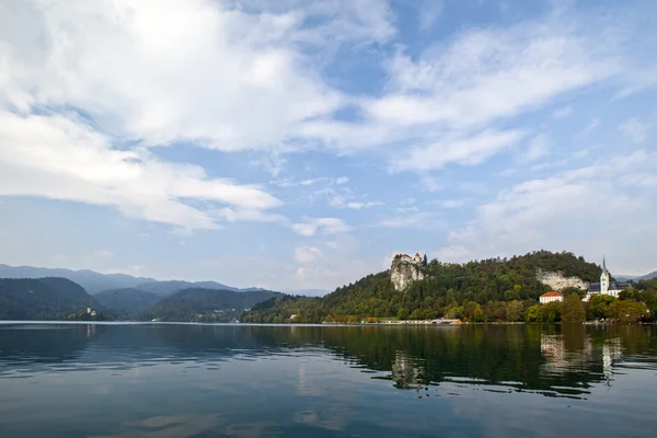 Svanar, och allt som är runt sjön Bled — Stockfoto