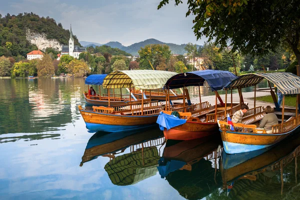 Swans, and all that is around Lake Bled — Stock Photo, Image