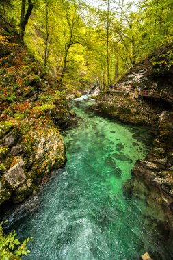 Vintgar, Slovenya güzel şelaleler