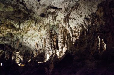 Postojna mağaraları