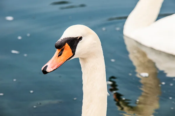 Around Lake Bled in Slovenia — Stock Photo, Image