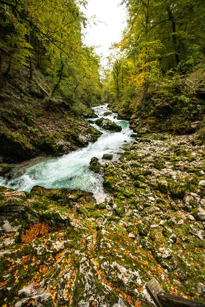 Vintgar, hermosas cascadas en Eslovenia — Foto de Stock