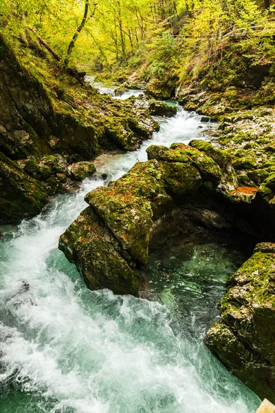 Vintgar, hermosas cascadas en Eslovenia —  Fotos de Stock
