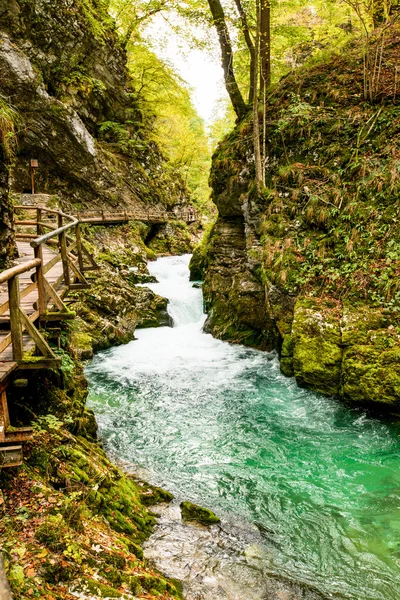 Vintgar，美丽的瀑布，在斯洛文尼亚 — 图库照片