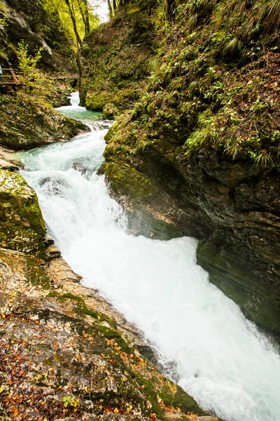 Vintgar, hermosas cascadas en Eslovenia — Foto de Stock