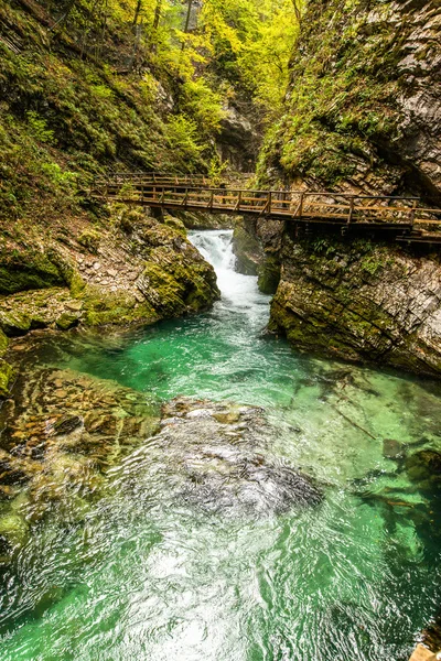 Vintgar，美丽的瀑布，在斯洛文尼亚 — 图库照片