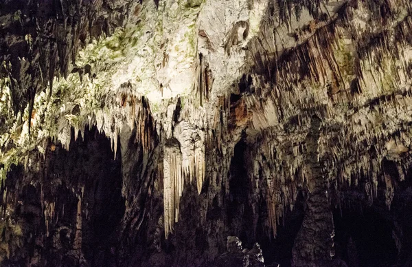 Postojnské jeskyně — Stock fotografie