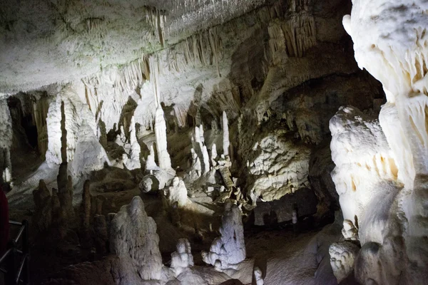 Postojna caves — Stock Photo, Image