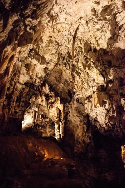 Grottes de Postojna — Photo