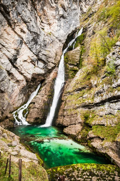 Vintgar, bos, waterval en rivier van Slovenië — Stockfoto