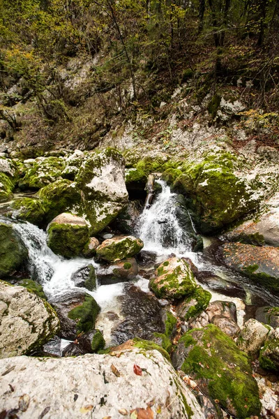 Vintgar, skog, vattenfall och river i Slovenien — Stockfoto