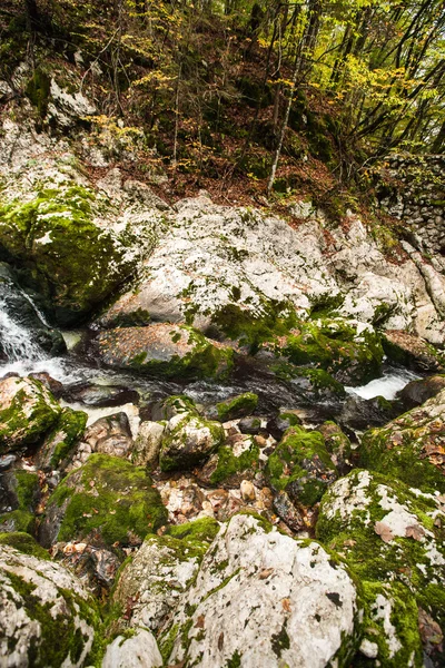 Vintgar，森林、 瀑布和河流的斯洛文尼亚 — 图库照片