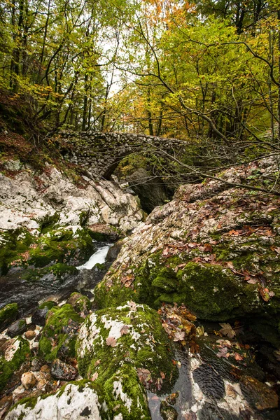 Vintgar, bosque, cascada y río de Eslovenia —  Fotos de Stock