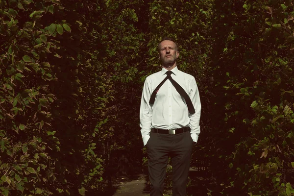 Smart casual handsome mature man with silver beard walking between trees in park — Stock Photo, Image