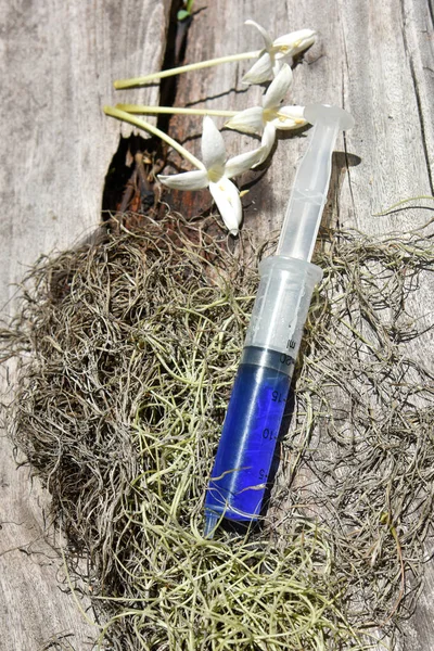 a syringe with blue medicine for the dry plant skin and diseased , a sick plant and skin care healing concept