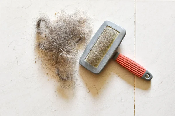 Büyük bir köpek tüyü yığını ve yerde köpeği taramak için hangi fırça, tımardan sonra bir tutam köpek kılı, dökülme aleti, köpekten fırçayla taranmış saç, üst görüş