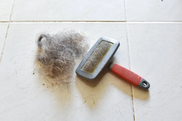 Big pile of dog hair and which brush to comb out the dog on floor, Bunch of dog hair after grooming, Shedding tool, Hair combed from the dog with brush, top view