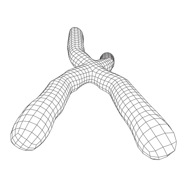 Concept Éducation Médecine Scientifique Chromosomique Illustration Vectorielle Faible Maille Poly — Image vectorielle