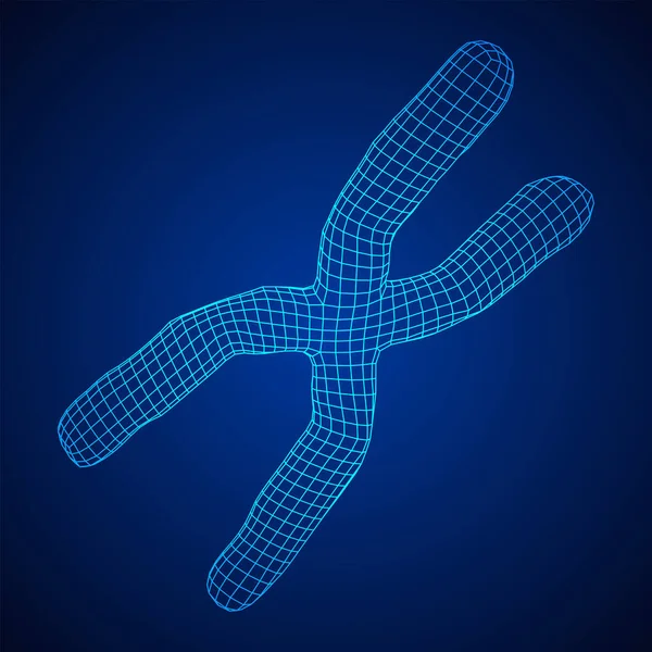 染色体科学医学教育の概念 ワイヤーフレーム低ポリメッシュベクトルイラスト — ストックベクタ