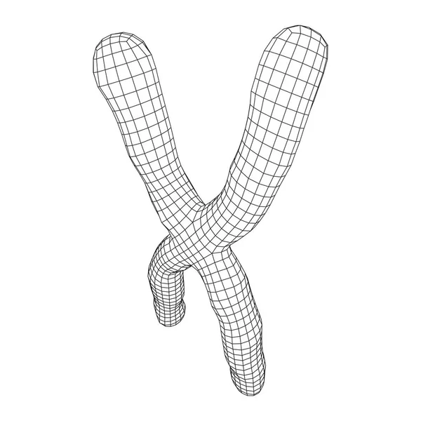 Concept Éducation Médecine Scientifique Chromosomique Illustration Vectorielle Faible Maille Poly — Image vectorielle